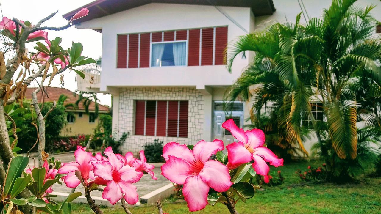 Jacks Hill Tropical Arcadia Hotel Kingston Ngoại thất bức ảnh