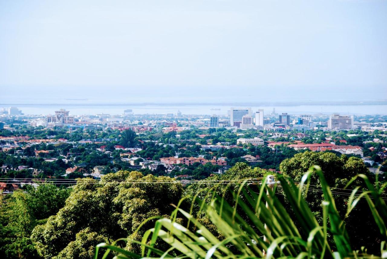 Jacks Hill Tropical Arcadia Hotel Kingston Ngoại thất bức ảnh