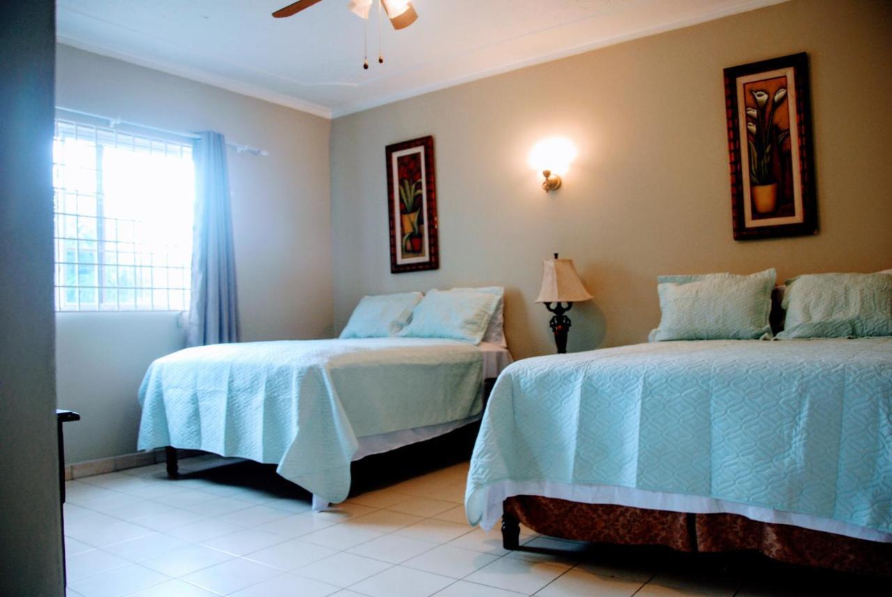 Jacks Hill Tropical Arcadia Hotel Kingston Ngoại thất bức ảnh